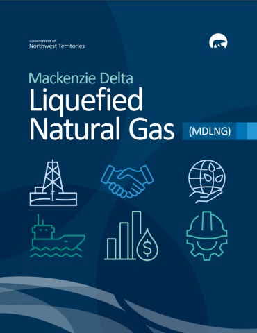 Cover - MDLNG Overview